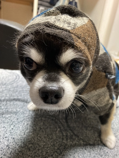 残り１３日　達成率４１％