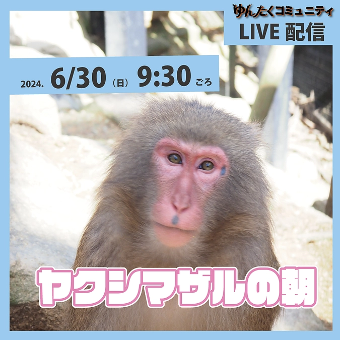 ゆんたくコミュニティ限定ライブ配信「ヤクシマザルの朝」