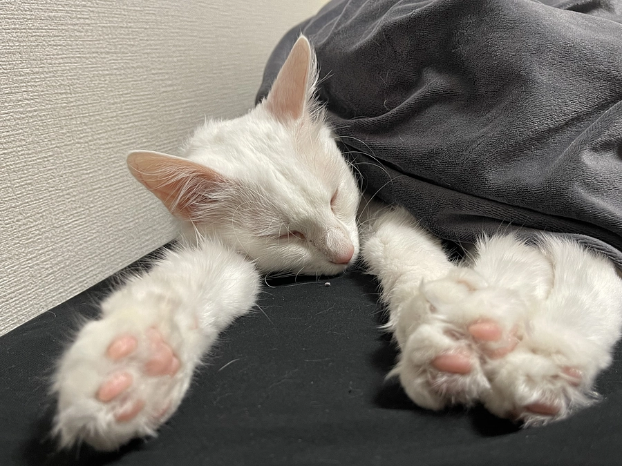 みんびー活動報告