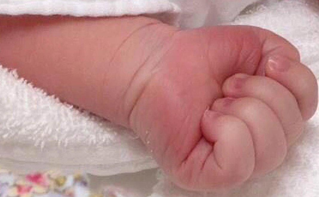 サポーター10,000円コース