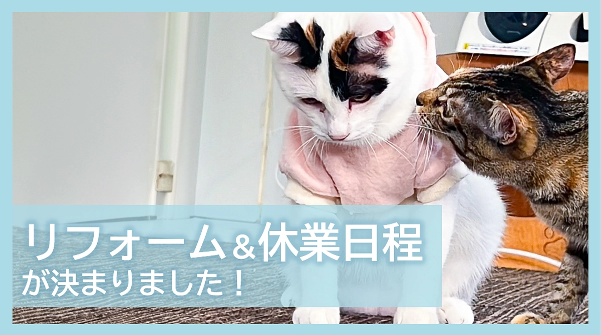 リフォーム＆休業日程が決まりました！