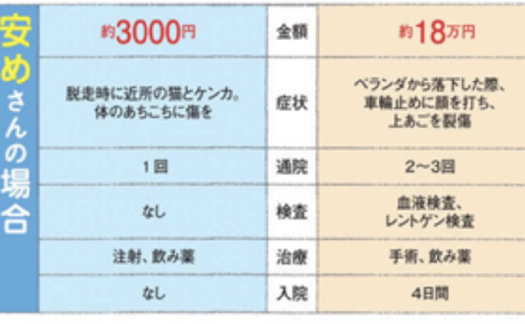 口内炎の治療に役立てたい