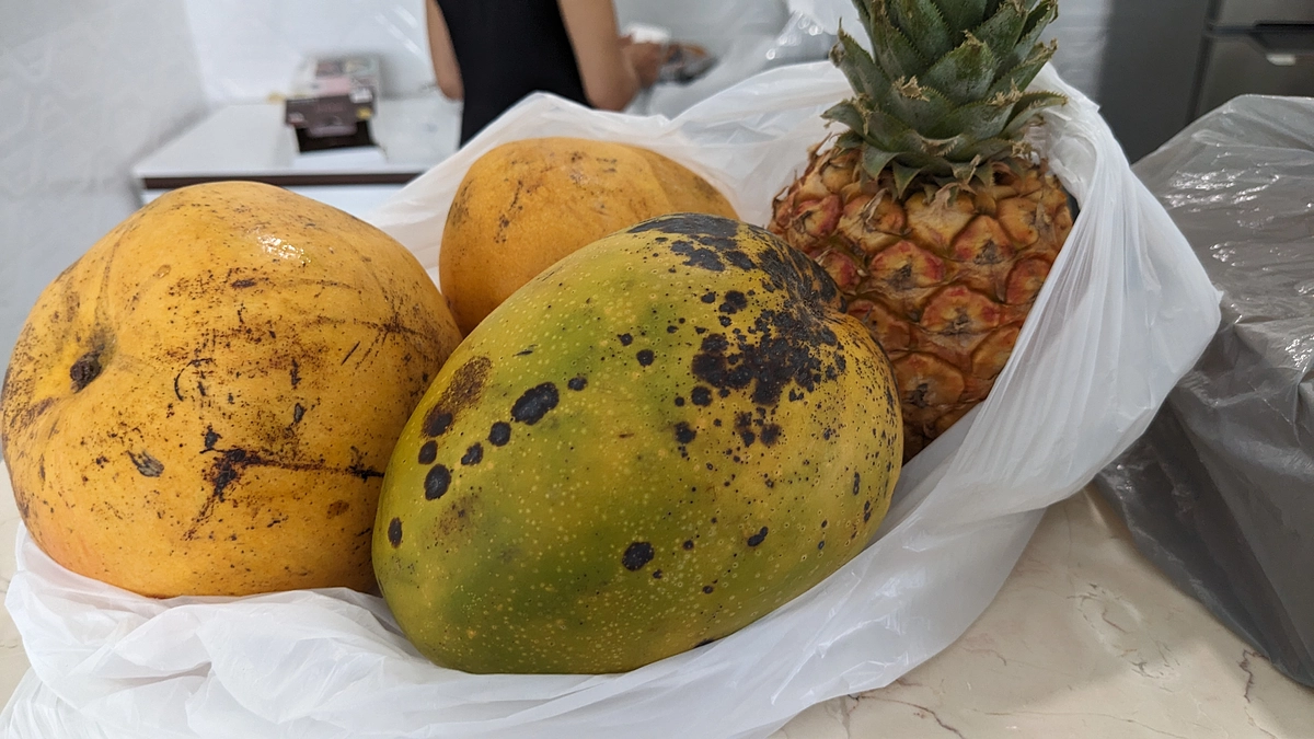 みなさん聞こえますか…今アコーディオンのない国キューバから連絡しています…！