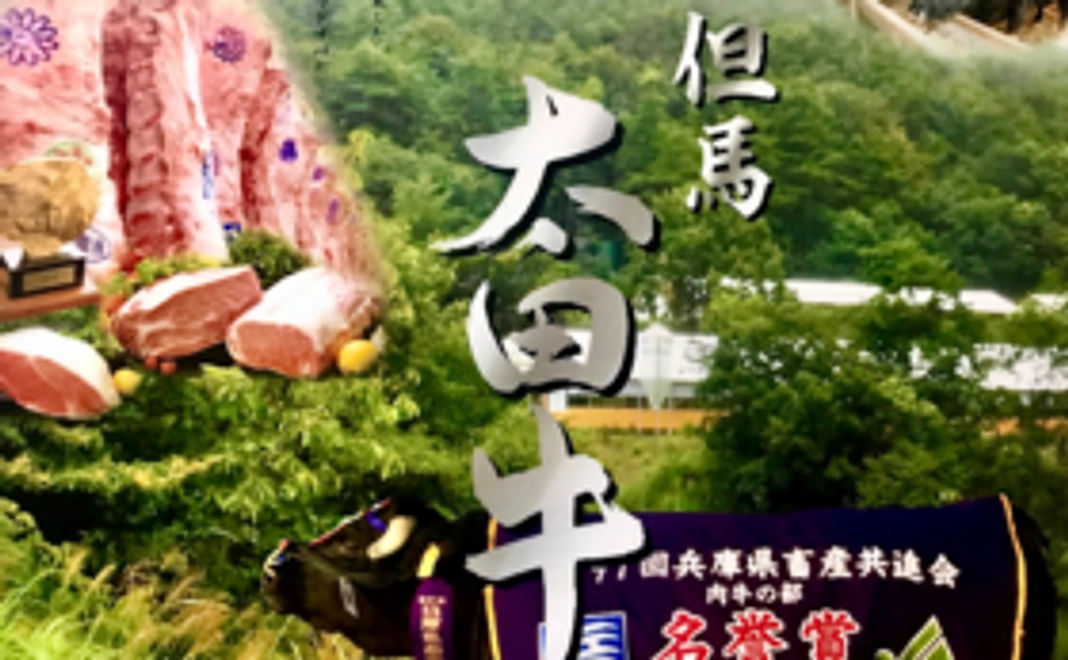 1000円で応援コース