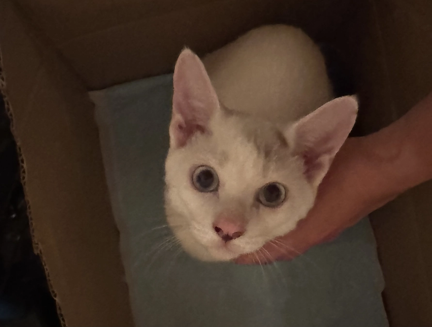 お天気に負けず元気です！