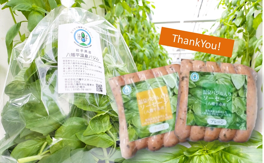【八幡平スマートファーム産】温泉バジル＆温泉バジルソーセージコース