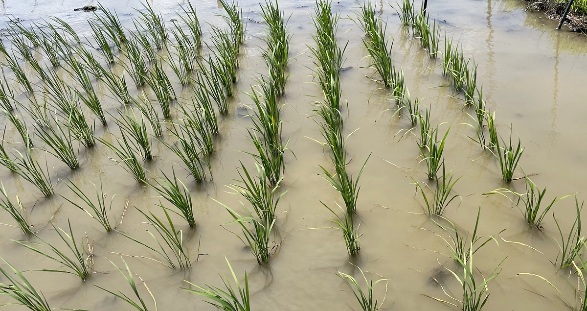 毎日新聞に私たちのプロジェクトが紹介されました！