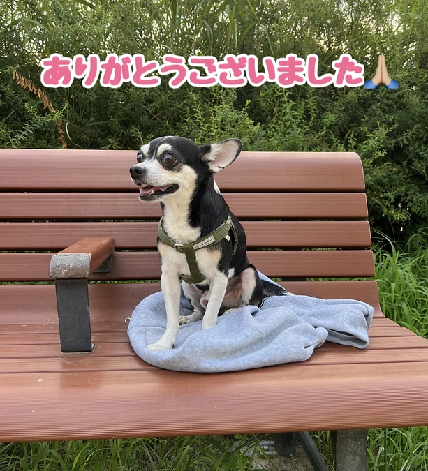 クラウドファンディング達成のご報告