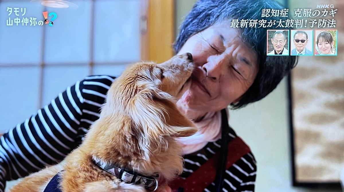 【シニアドッグサポーターで幸せになりました】NHK出演のピース。10年近くサークルに閉じ込められて…