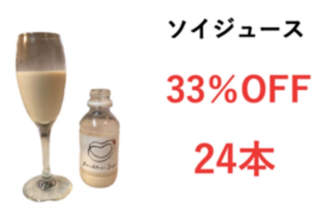 【33%OFF・24本】ソイジュースコース