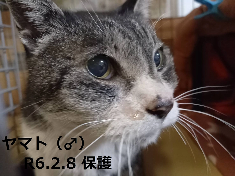 頑張って生きてきたね