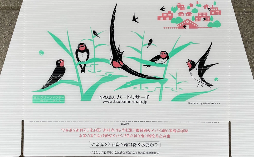 ツバメのフン受け（ヨシ原ねぐら）