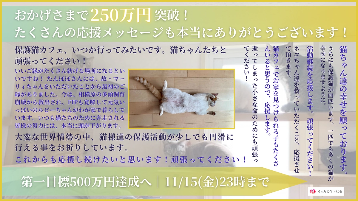 ご支援総額270万円突破しました！