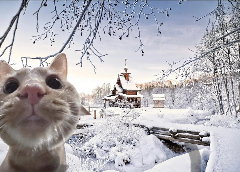 一匹でも多くの犬猫が幸せに巡り逢えます様に！