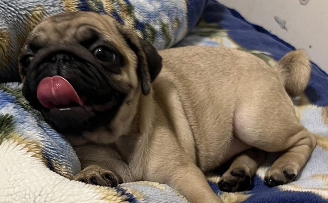 【2】お礼のメール