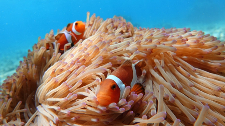 沖縄の自然を堪能！1日1組のオーダーメイドアウトドアツアー