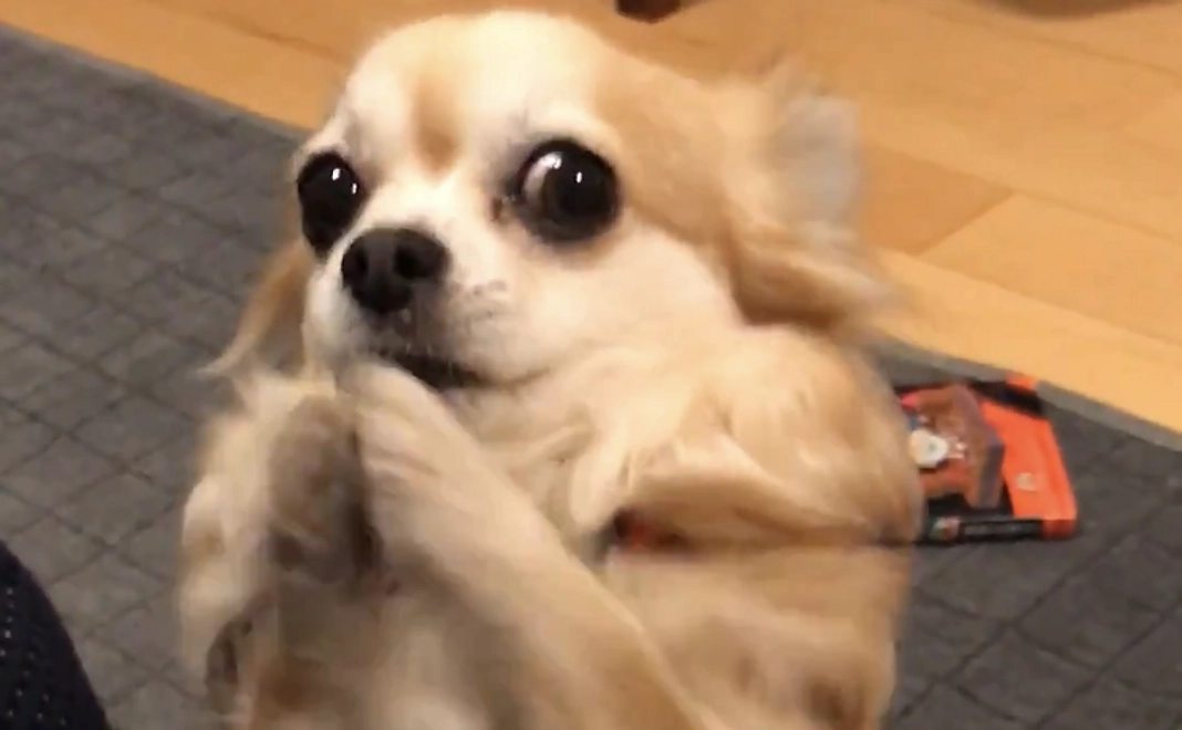 ご支援ありがとうございます２