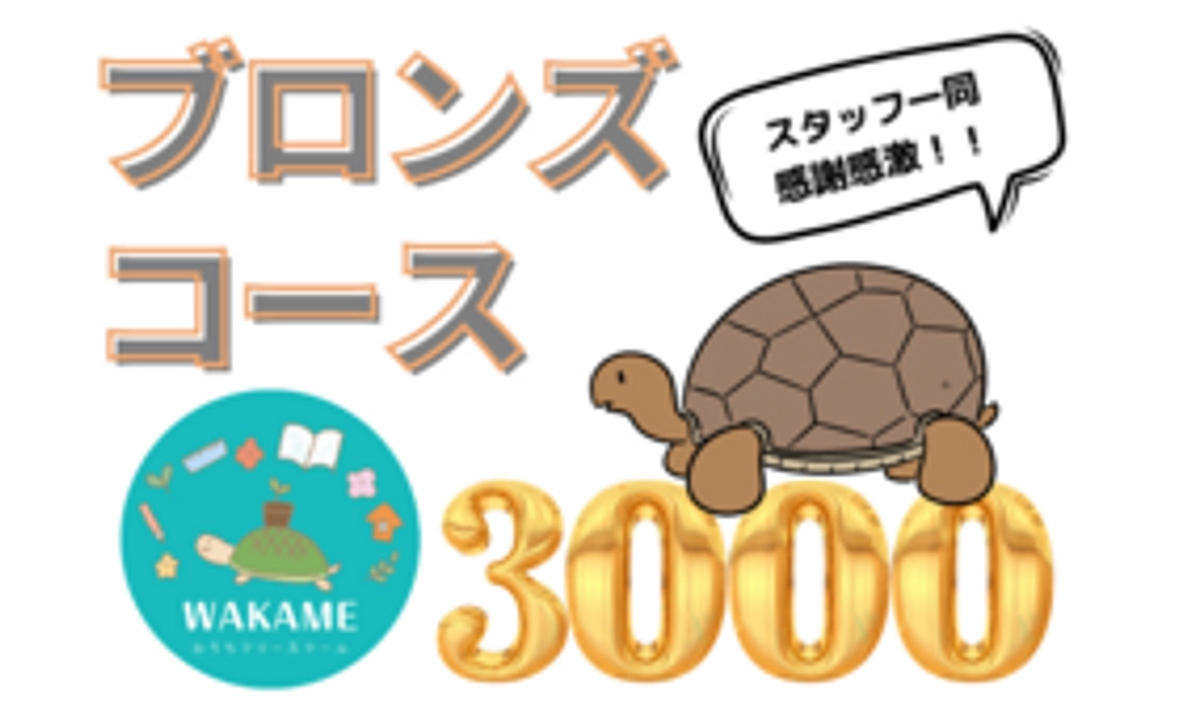 3000円サポート☆ブロンズコース