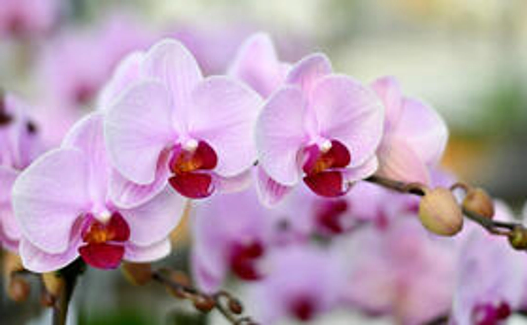 監督とプロデューサー からお礼のメッセージメールが届きます!