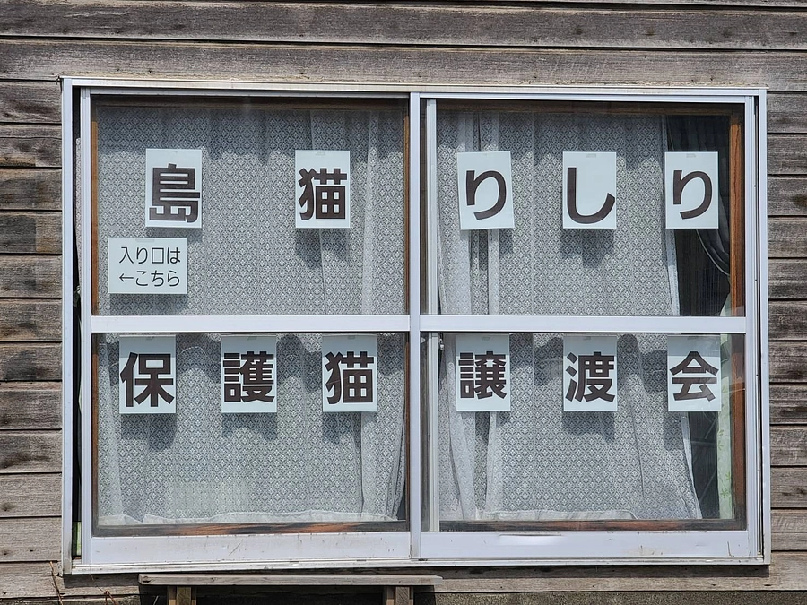 島猫りしり、初めての譲渡会！IN稚内
