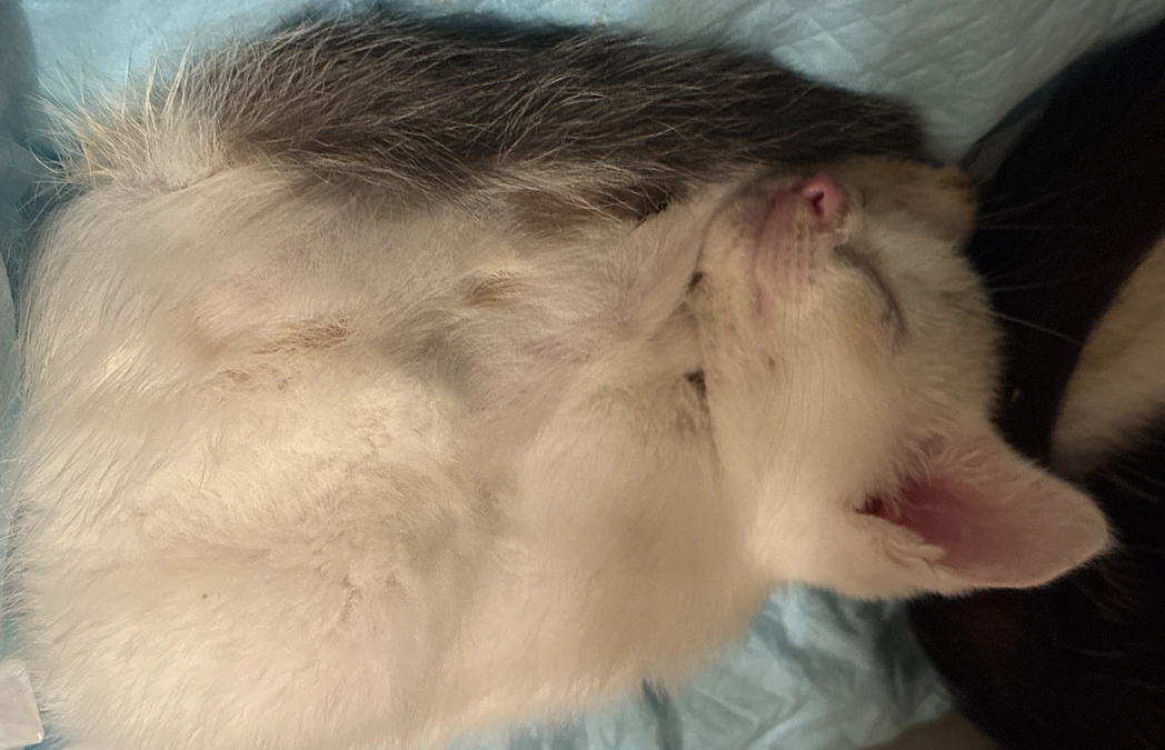 普通のことが大仕事になることも