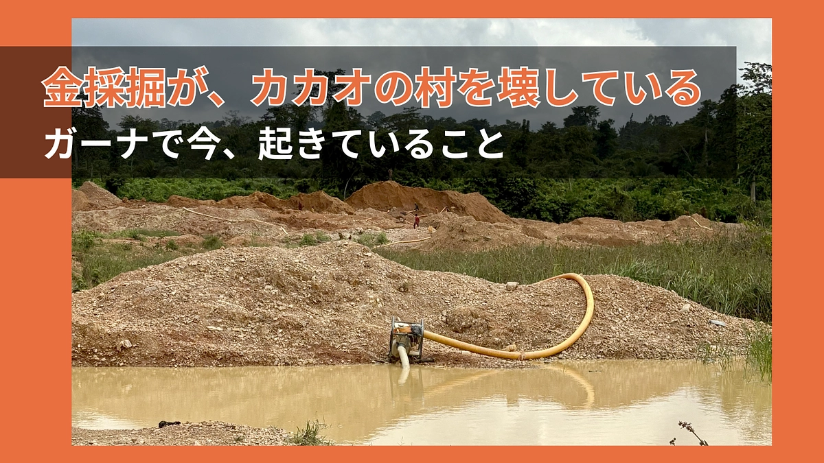 金採掘が、カカオの村を壊している——ガーナで今、起きていること