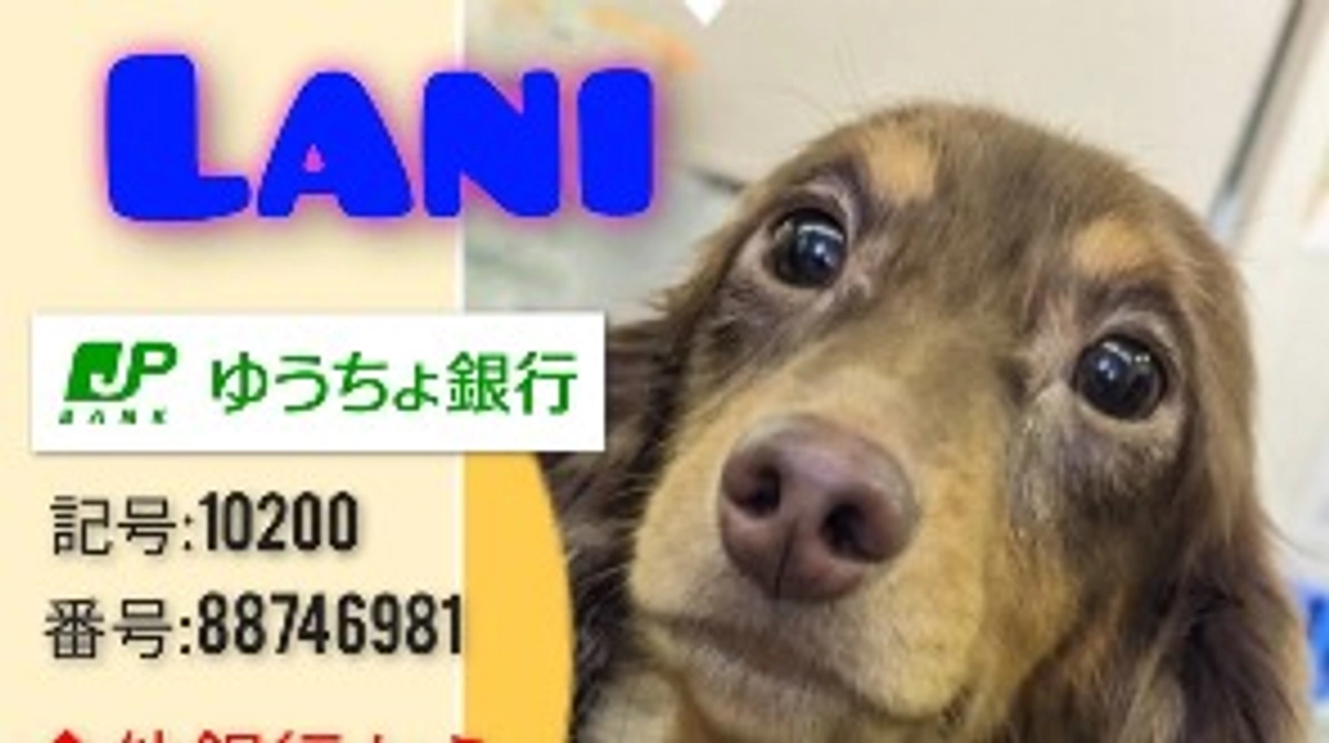 【残り28日】銀行口座での代理支援について