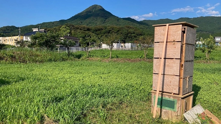 日本蜜蜂養蜂をもっと身近に！誰もが簡単に扱える巣箱リフターを作る
