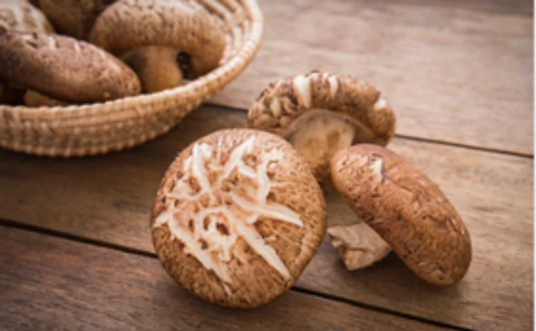 仙臺しいたけ開発品