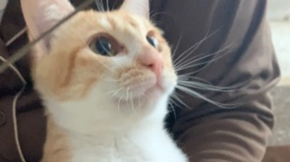 投薬82日目（プロジェクト開始42日目）※残り4日です。