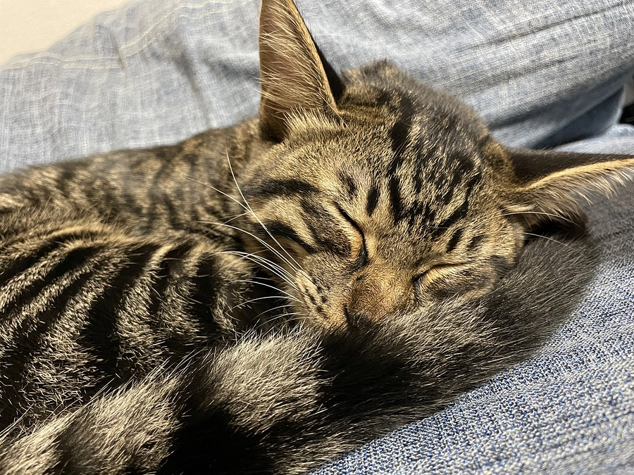 残り47時間となりました🙇🏻‍♀️🍀