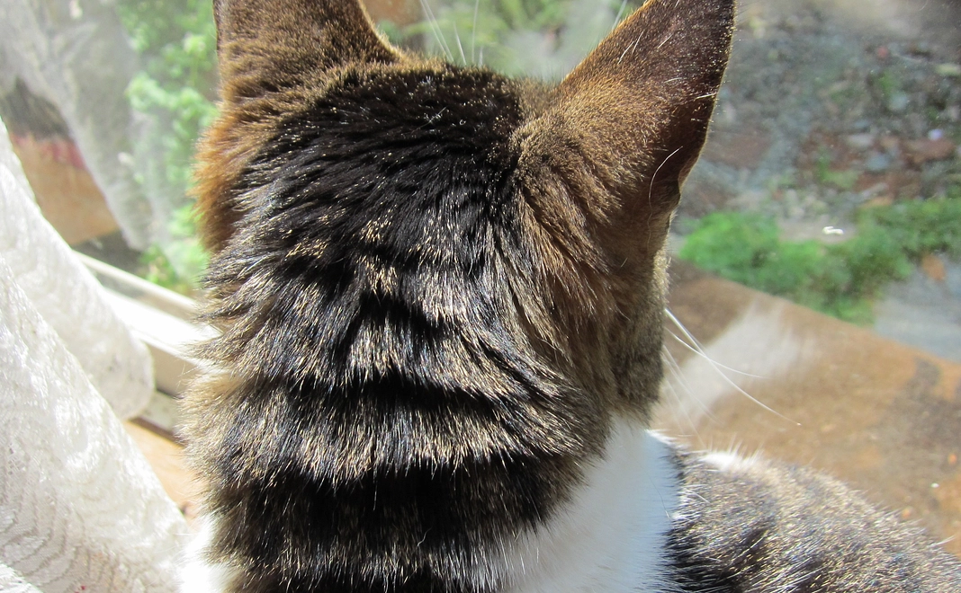 感謝の気持ち・近況報告をメールで送信