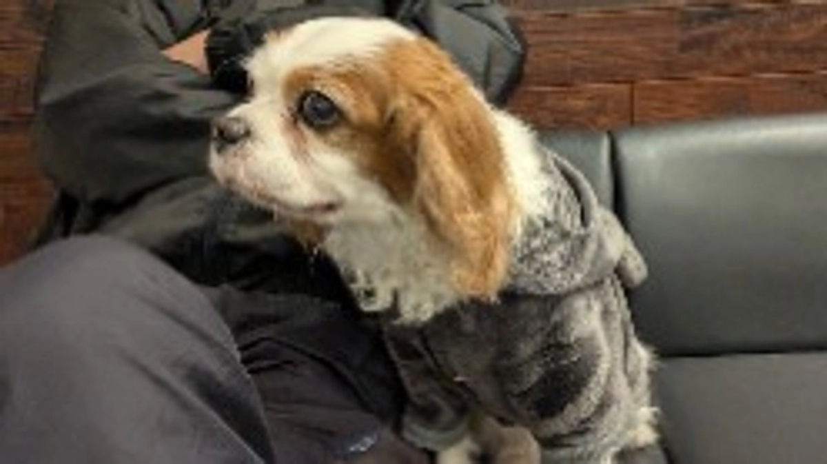 4ヶ月検診です🏥