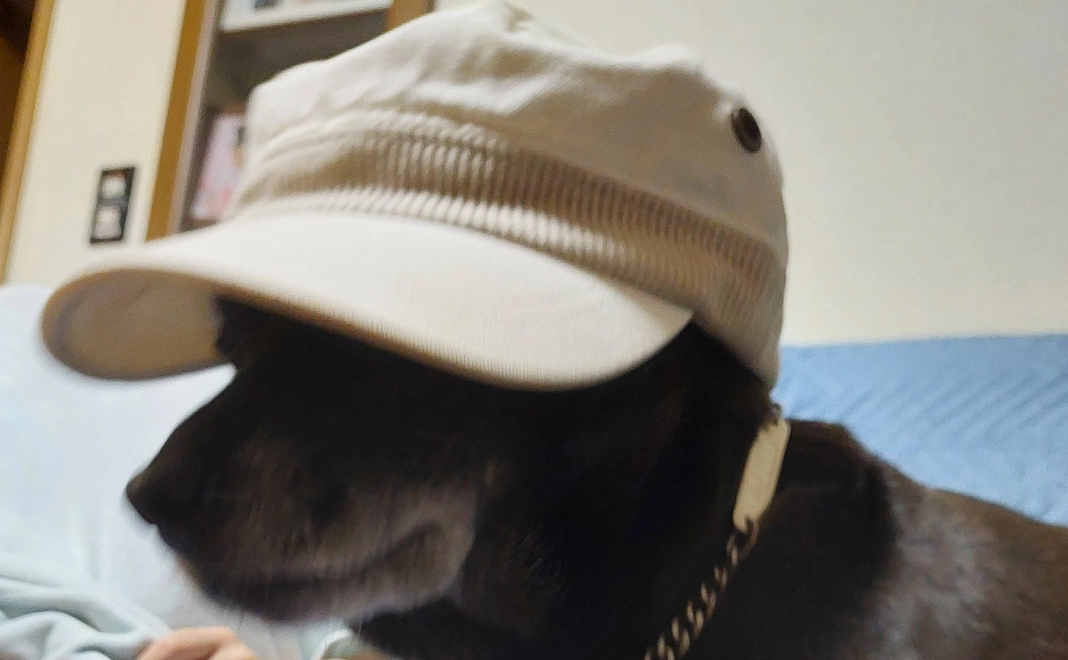 感謝のメールと報告(2)