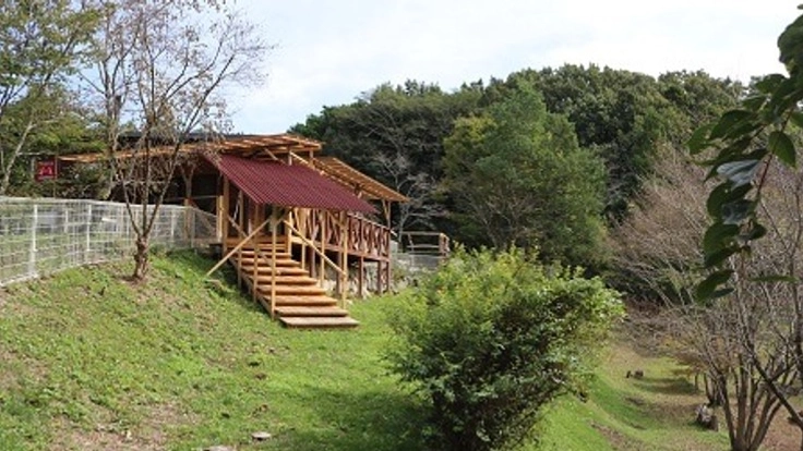 薪ストーブで、炎の癒しと手作りピザでお客様をお迎えしたい