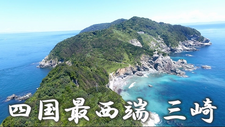 三崎の赤ウニブランド化!日本一へ ~ウニの街 佐田岬の実現~ 4枚目