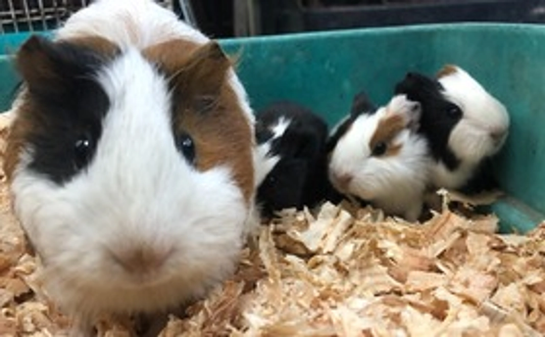 【5千円】豪華なリターンは不要な方向け・応援コース