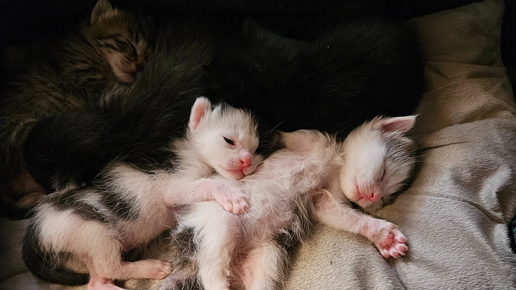 悲しい命をつくらないため　守り続けていきたい　明るい未来を…