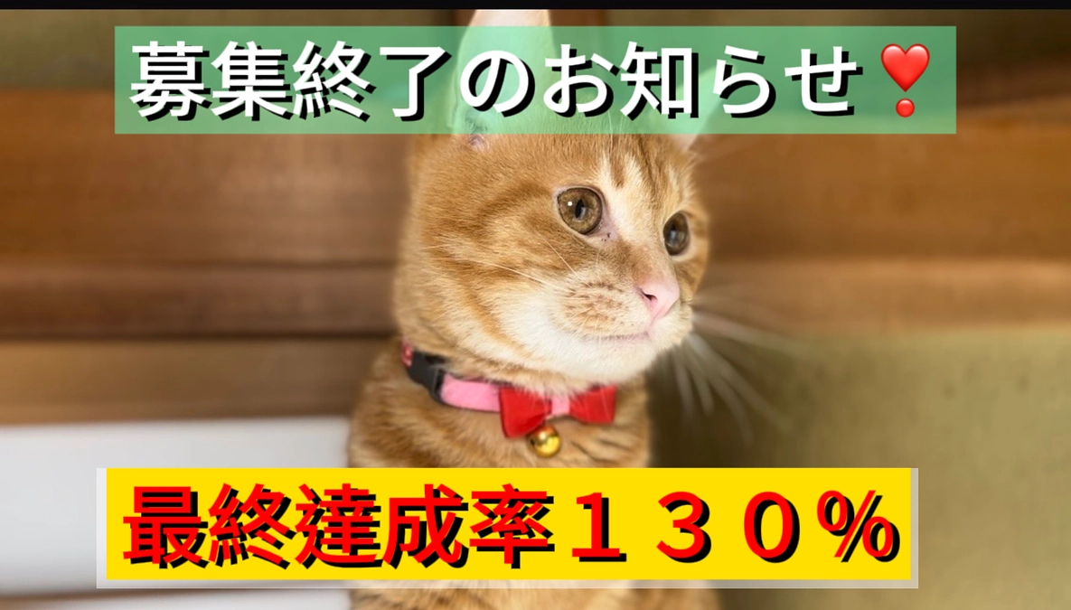 募集終了のお知らせ（3/28）