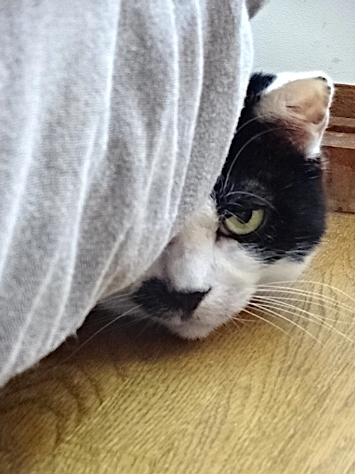 diary Vol.53 54　投薬日記 合併号