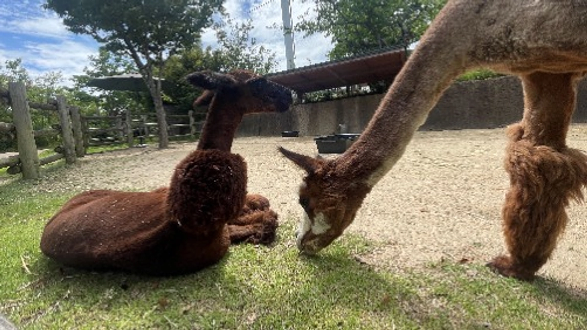 念願の第一目標達成！そして次の挑戦へ！