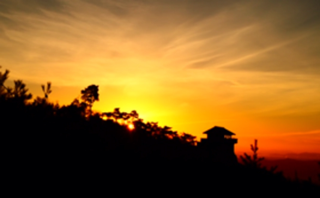 G｜応援コース【1万円】