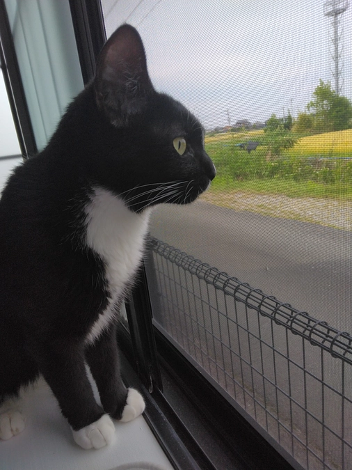 5/15はなちゃんの様子