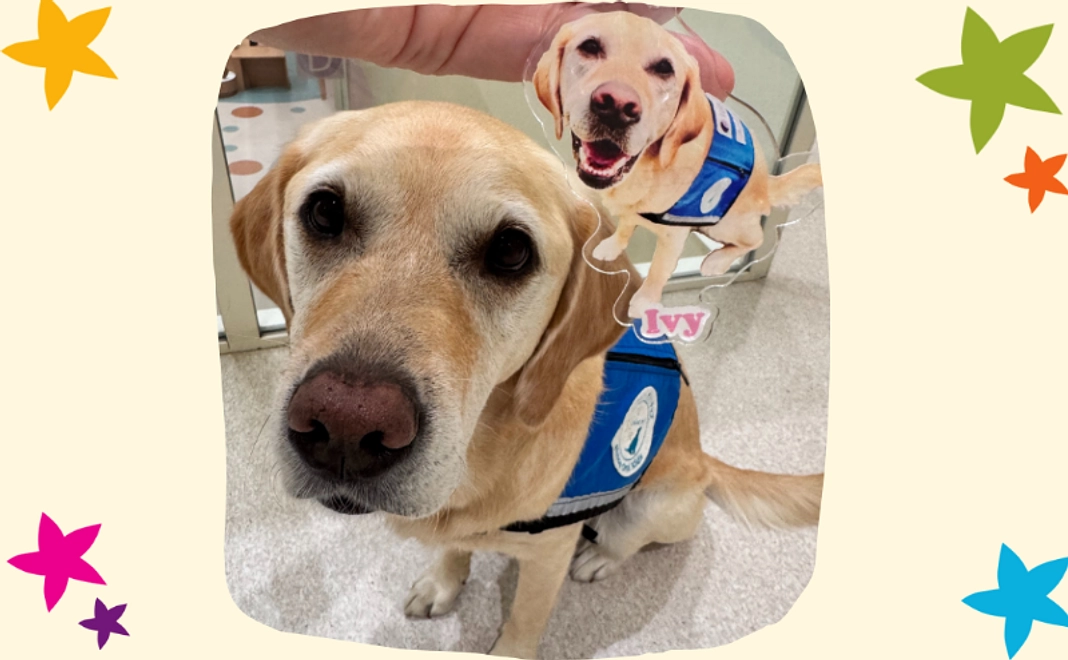 【新作・アイビー】アクリルキーホルダー【税制優遇対象外】