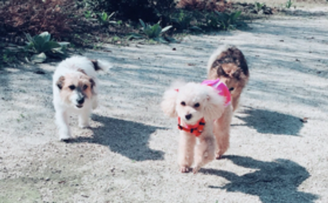 《コミュニティカフェ会員証》いつでも10％割になります♩