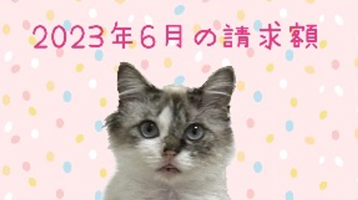 病院からの請求額　2023年6月