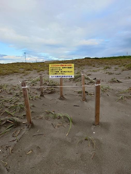 台風にも負けず、卵は無事です！