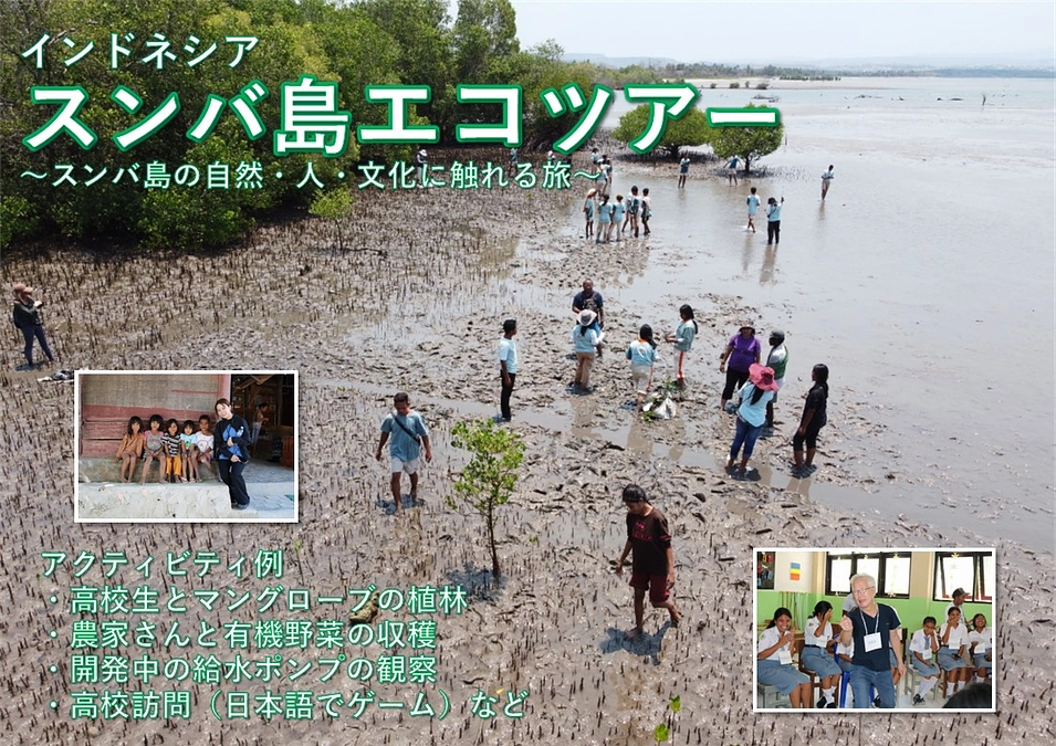 スンバ島エコツアーのお知らせ