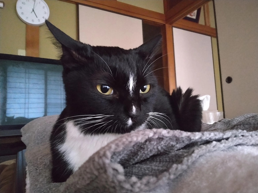 5/9はなちゃんの様子