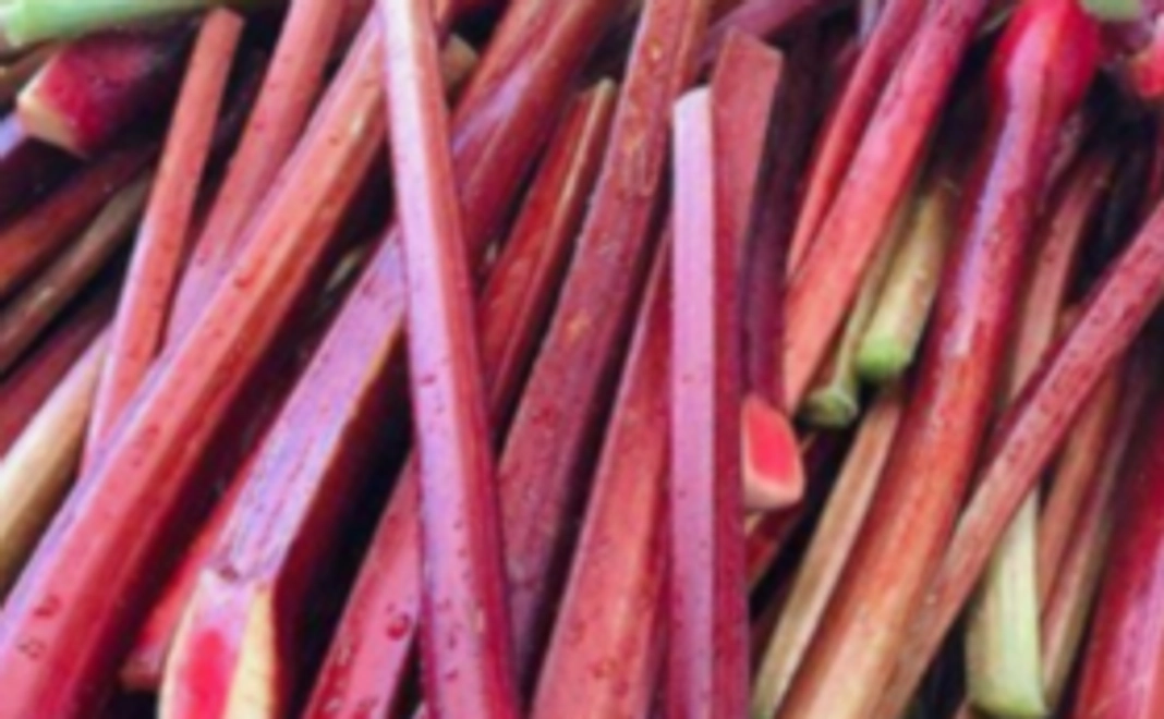 2, 新商品【ルバーブソース】を誰よりも堪能！